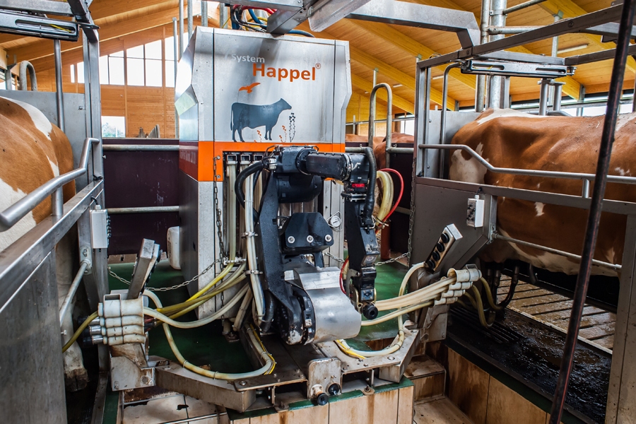Aktiv Puls Robot von Happel