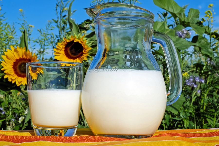 Milch hat wertvolles Eiweiß!