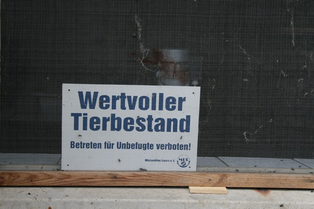 Wie schützen wir unsere Rinder?