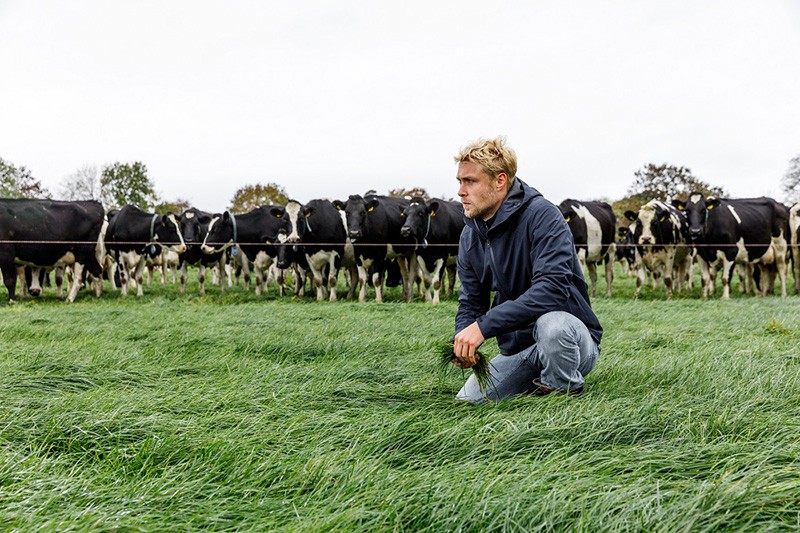Mehr Milch durch Schwefel