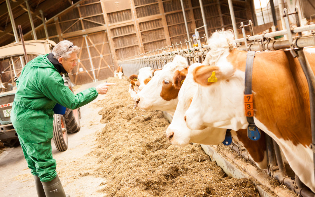 QM-Milch: Neuer „Standard 2020“ ab 1. Januar 2020