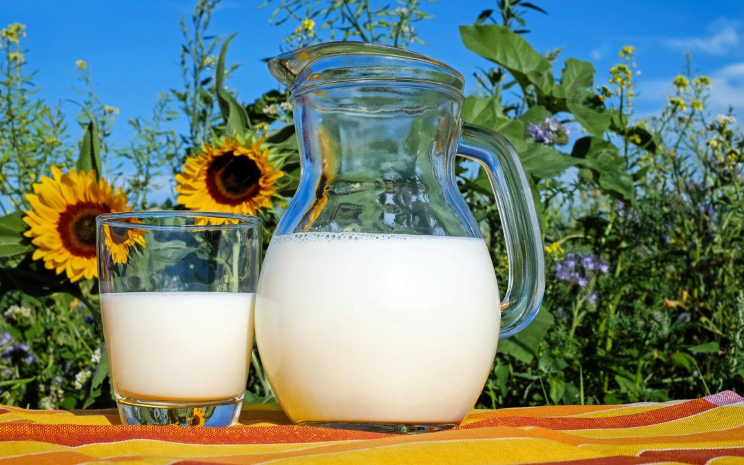 A2-Milch Studien hinterfragen