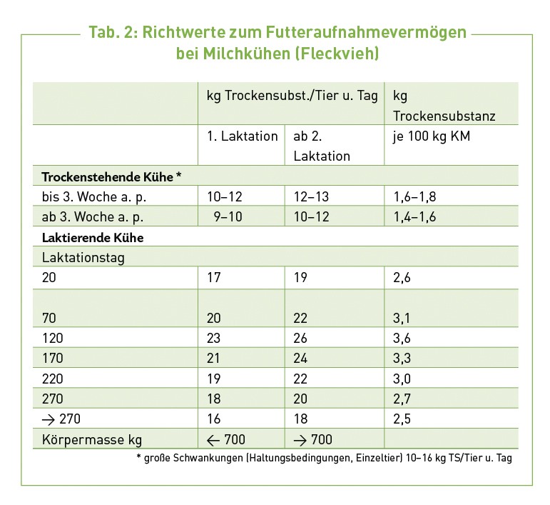 Milchpur Kalb Kuh Futter 