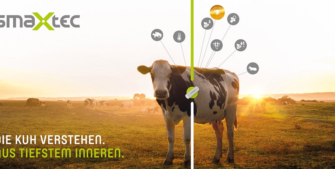 Tiergesundheit und Tierwohl nachhaltig verbessern