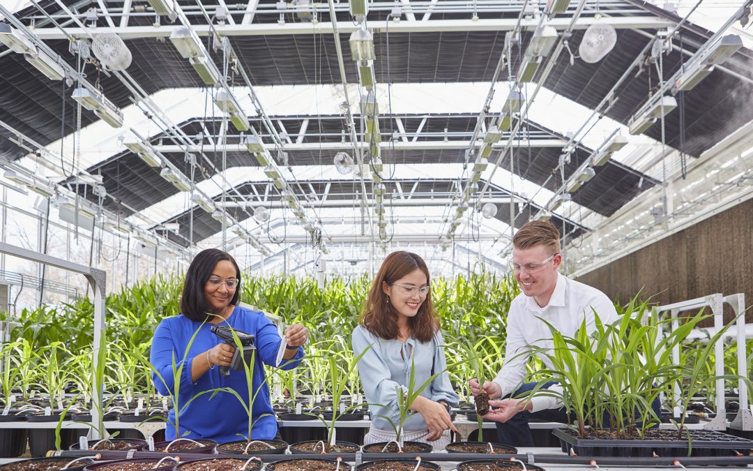 Innovations-Kooperationen für eine nachhaltige Landwirtschaft