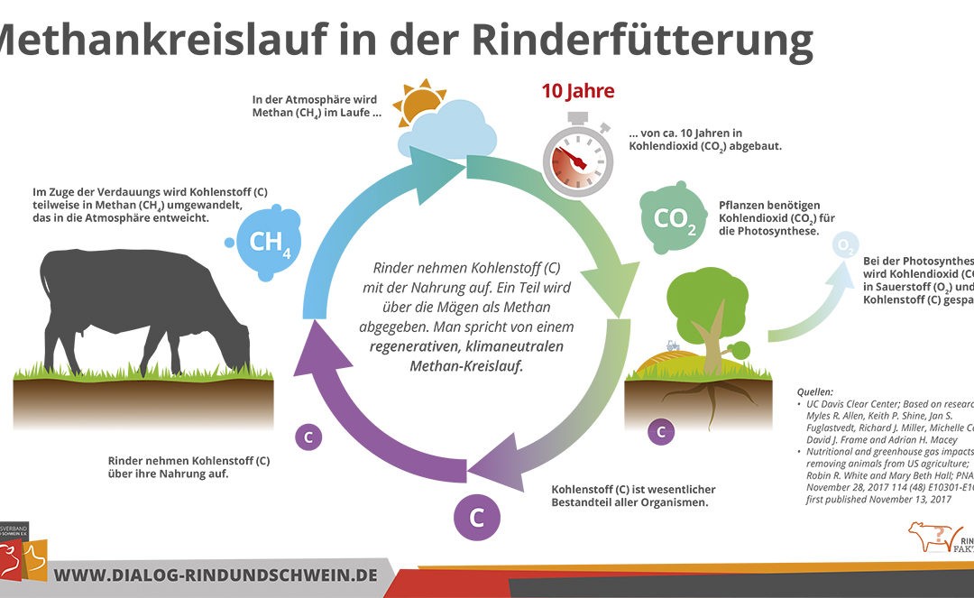 Methanemissionen: Gute Leistungen der Rinder – gut für das Klima