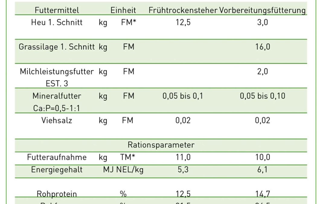 Fütterung vor und nach der Kalbung