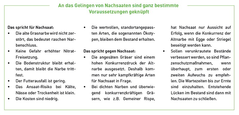 Gelingen von Nachsaaten