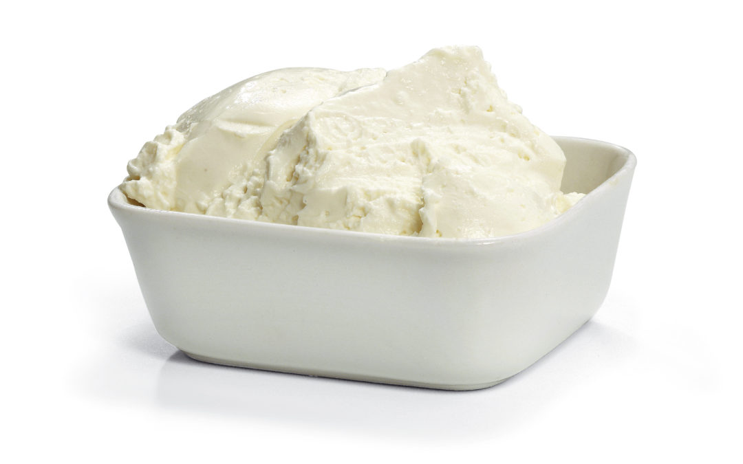 Alleskönner Speisequark selbst gemacht