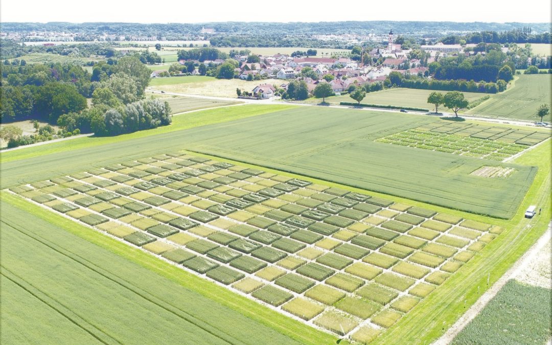 Einsatz von organischen Düngemitteln macht Reduktion von mineralischem Stickstoff möglich