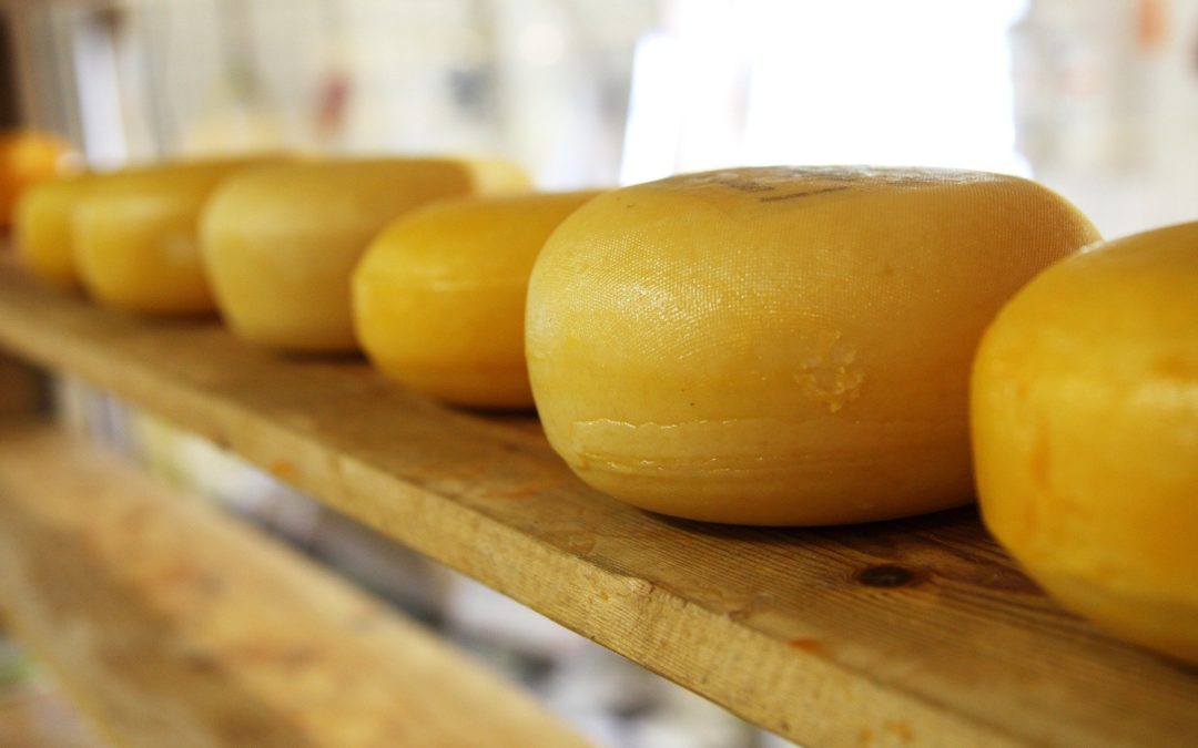 BVE-AFC-Exportindikator: Dämpfer für den Export