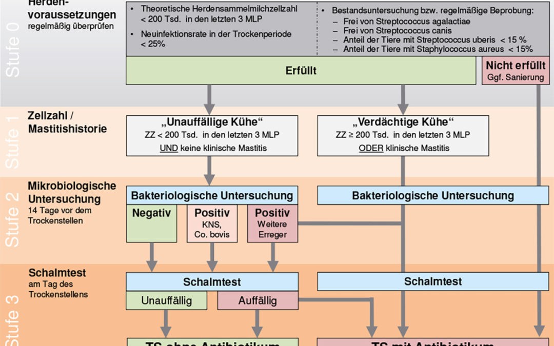 Mit oder ohne?