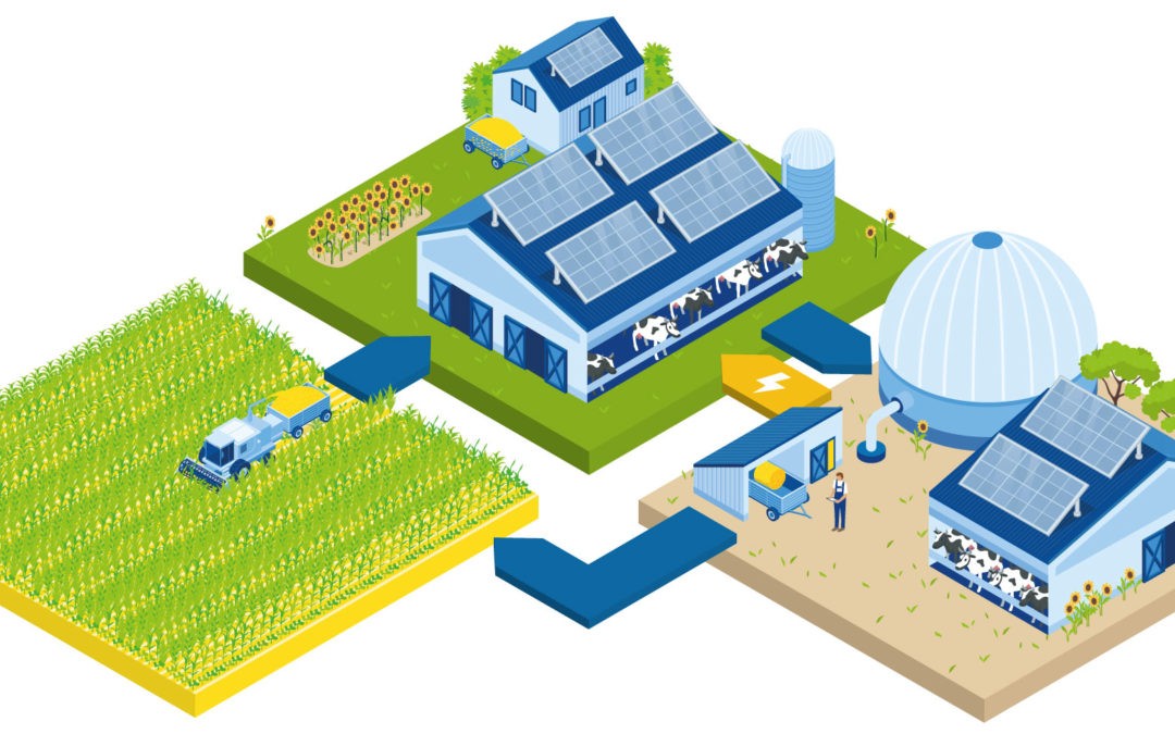 “Net Zero Farming”: DMK Group startet Zukunftsprojekt mit Pilotbetrieben