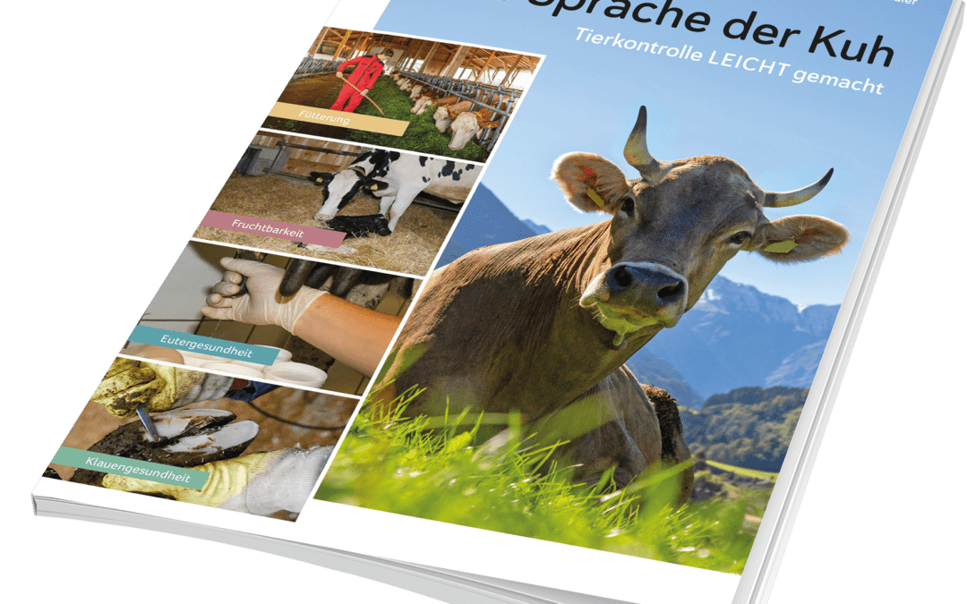 Verbände leicht gemacht