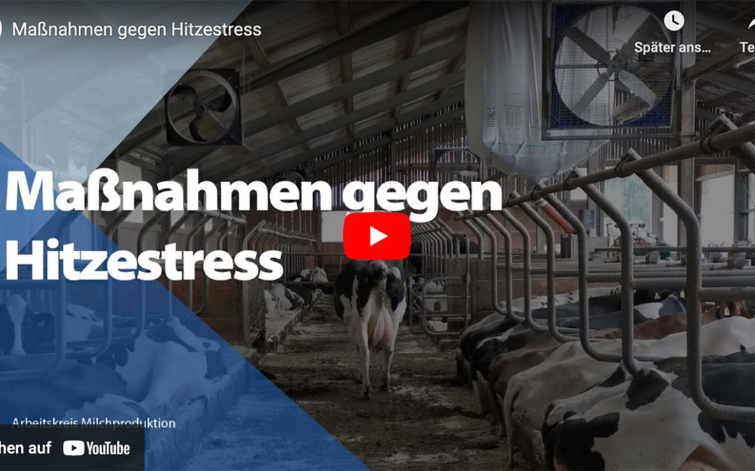 Maßnahmen gegen Hitzestress