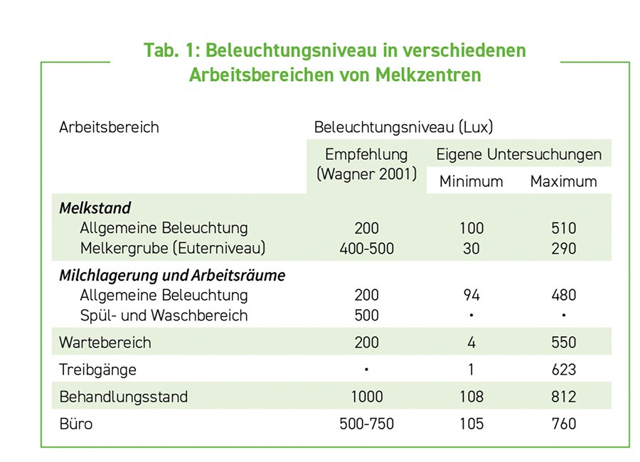 Optimale Lichtverhältnisse im Melkstand