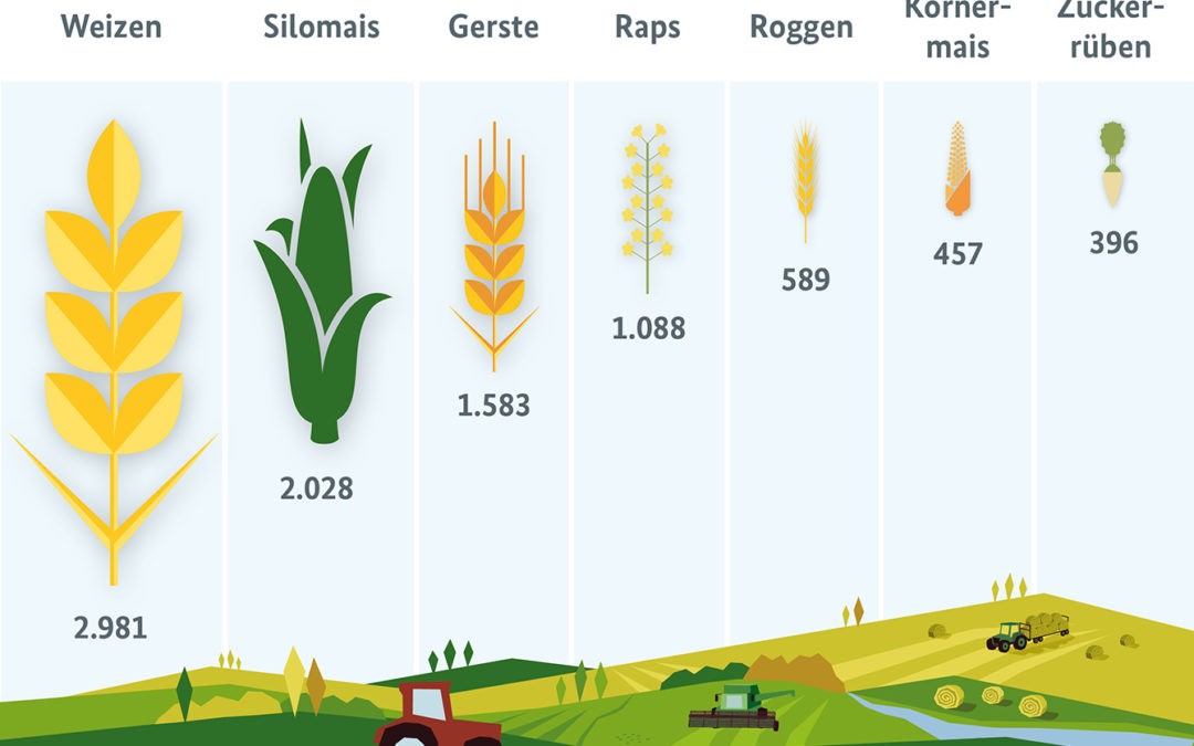 Was wächst auf Deutschlands Feldern?