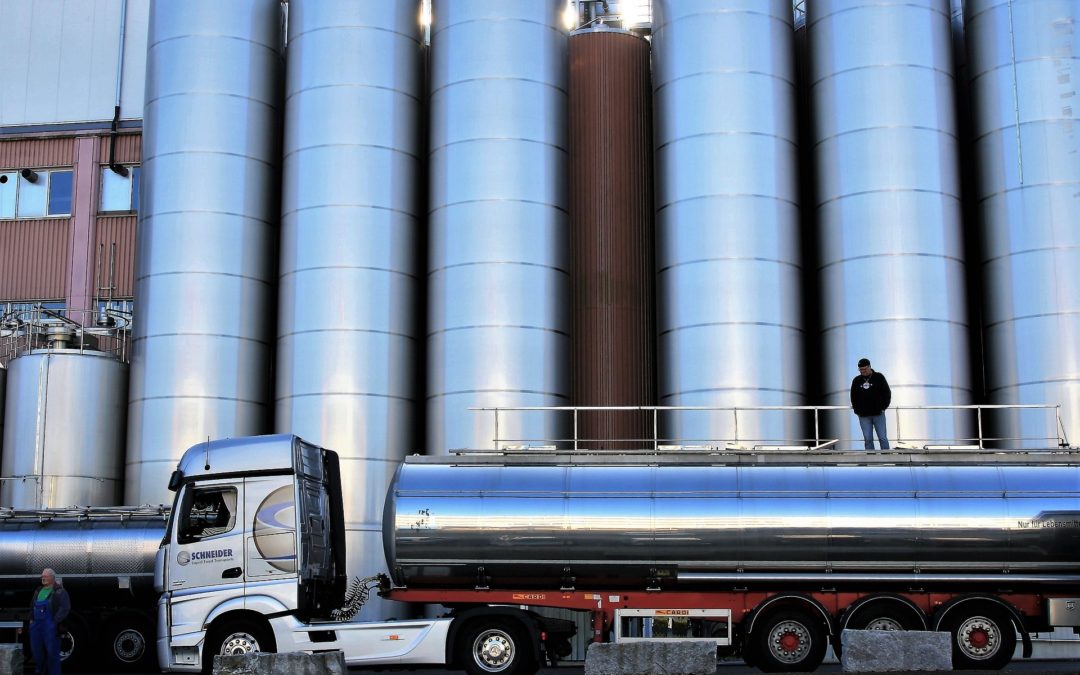 Milchmarkt: Trends und Prognosen