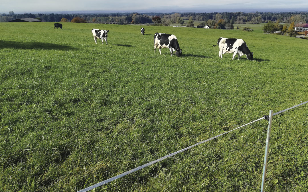 Klimaschutz ohne Tierbestand  zu reduzieren
