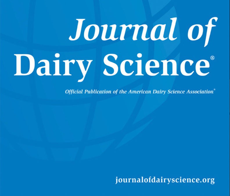 Studie unterschiedlich lange Absetzzeiten der Kälber und Milchleistung