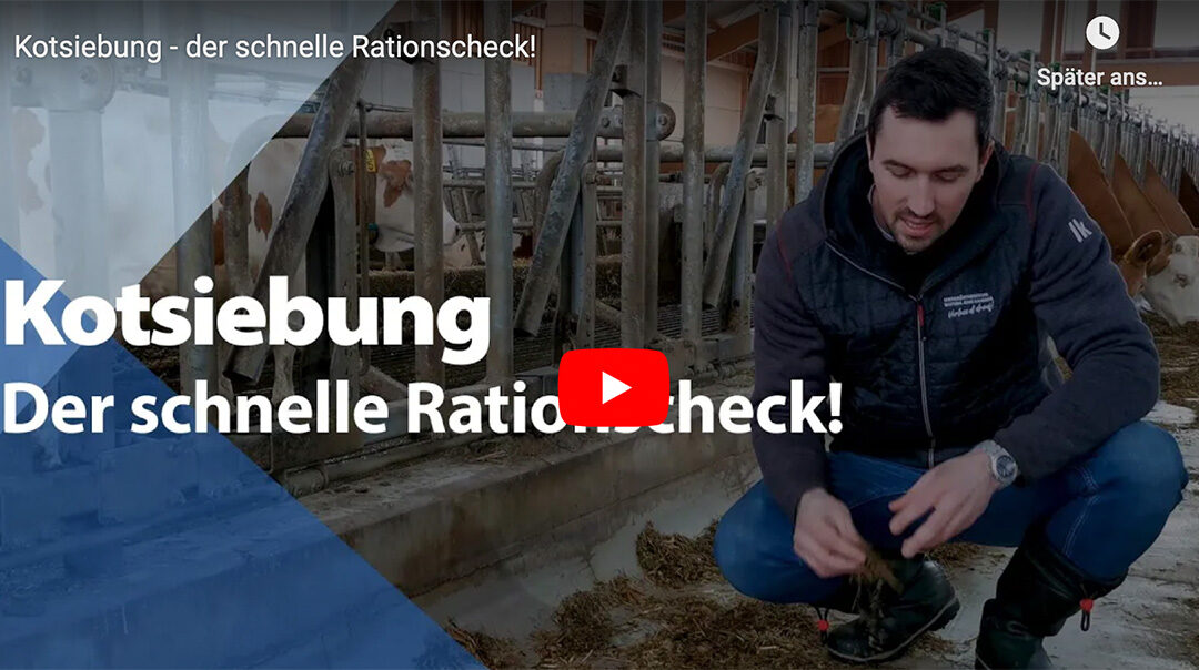 Kotsiebung – der schnelle Rationscheck!