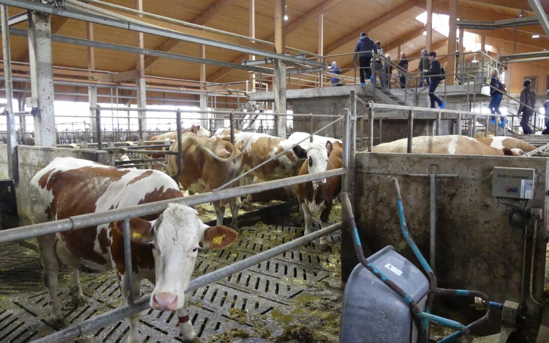 Großer Zulauf am DigiMilch-Stalltag 2023