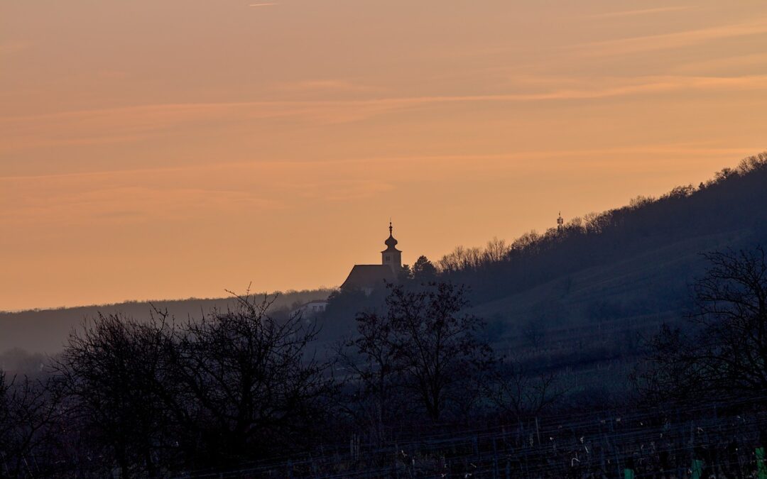 »Burgenland-Molkerei« soll Bauern mehr Marktsicherheit bieten