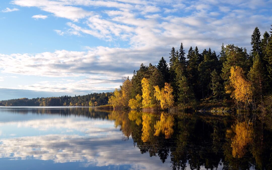Milchviehhaltung in Schweden (wieder) entdecken!