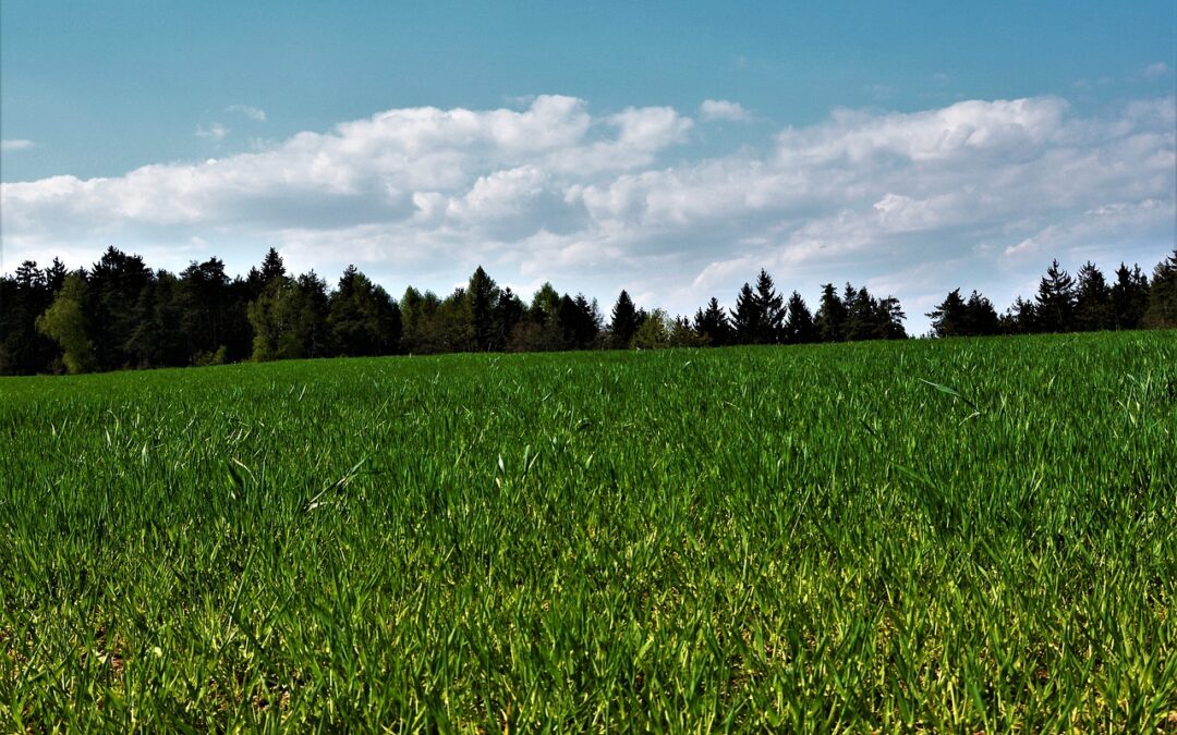 „Bundesregierung gefährdet ausgewogene Klimapolitik“