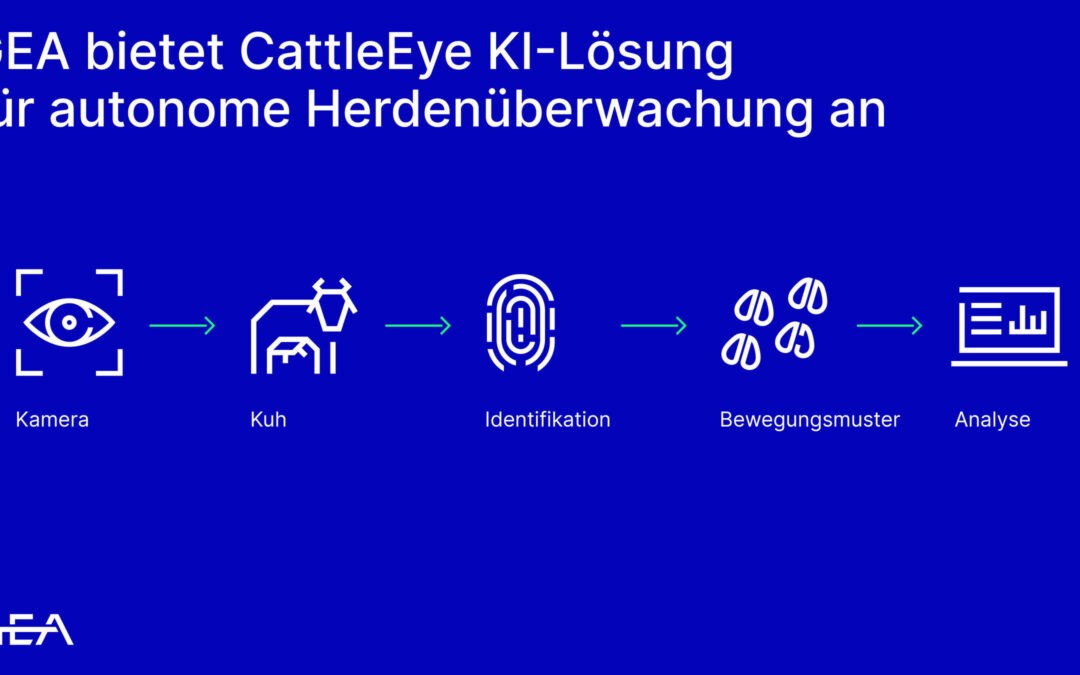 GEA führt Body Condition Scoring für Kühe ein