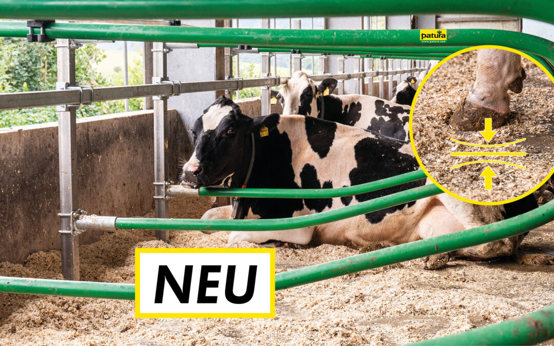 Liegekomfort für Kühe