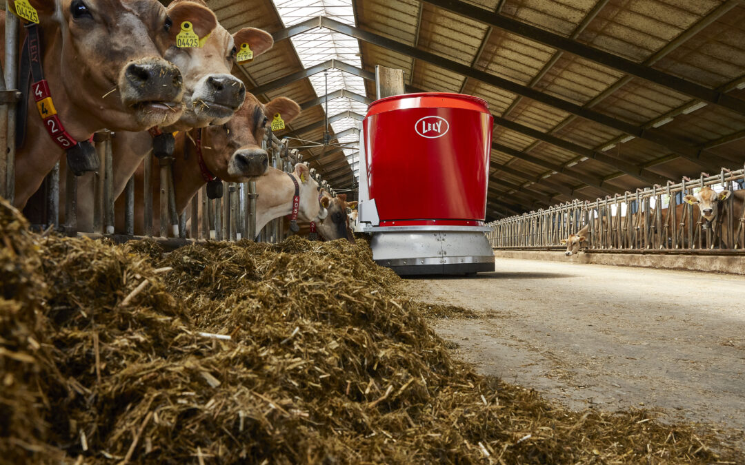 Erlebe Bestleistung in der Fütterung mit dem Lely Vector
