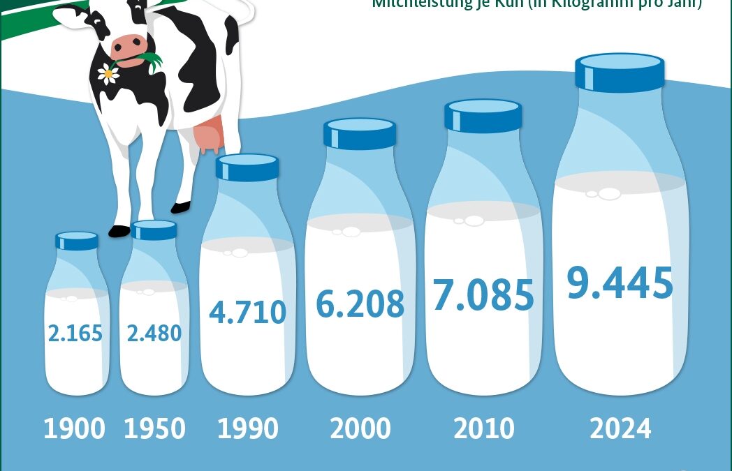 Wie viel Milch gibt eine Kuh?