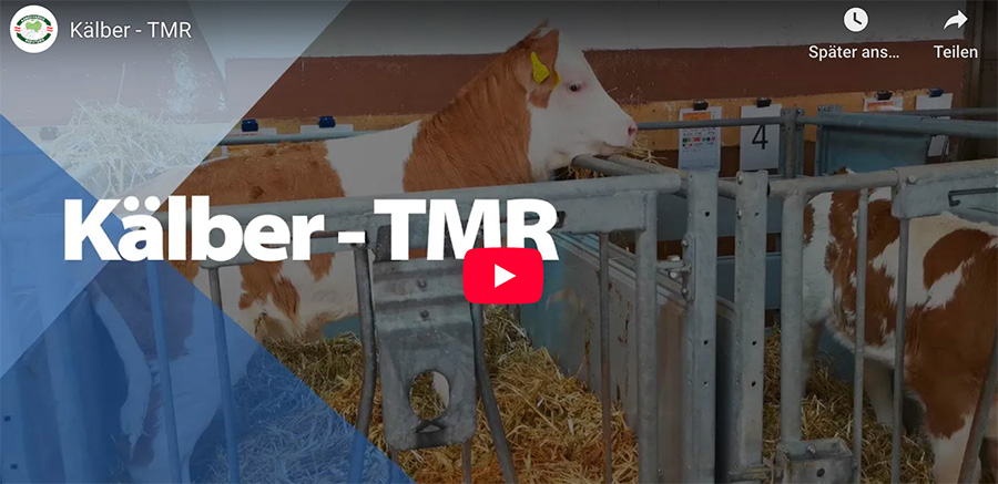 Video: Kälber – TMR