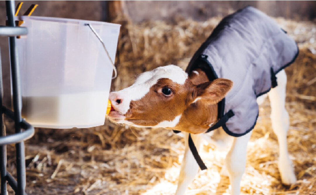 Die Gefahr der Kälte