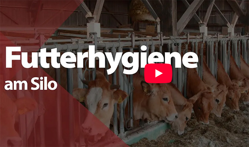 Video: Futterhygiene am Silo