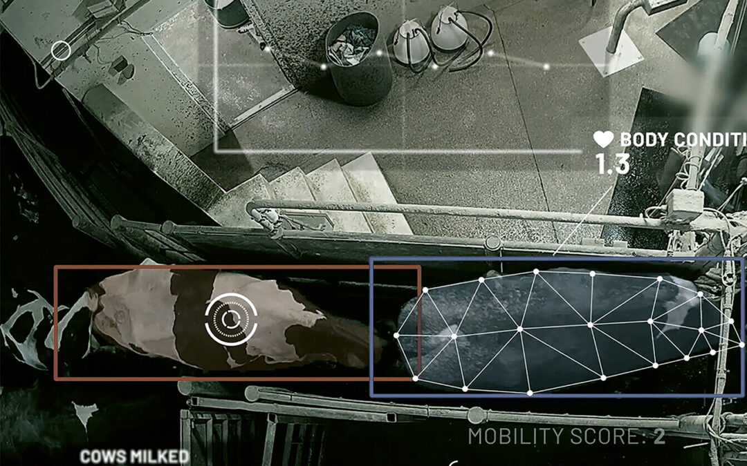 Werkzeug gegen Lahmheit