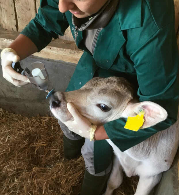 Prime-Boost-Impfkonzept von Boehringer Ingelheim