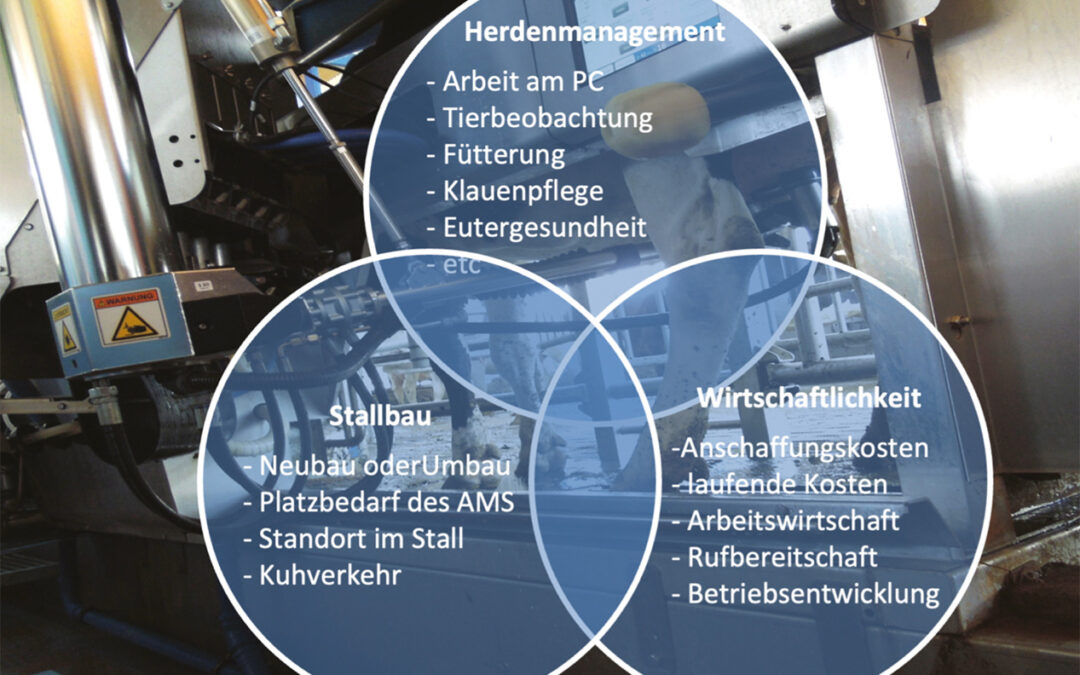 AMS oder konventionell?
