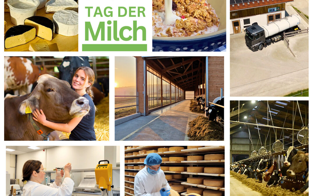 Einblicke vom Milchhof bis zum Frühstückstisch