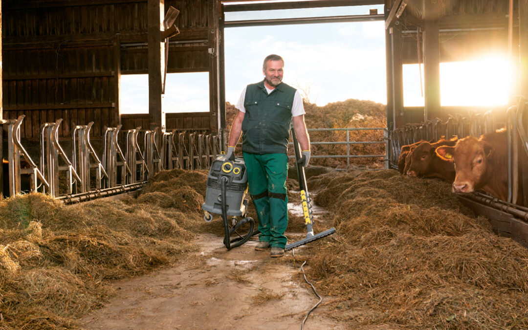 Das 1×1 der Stallreinigung