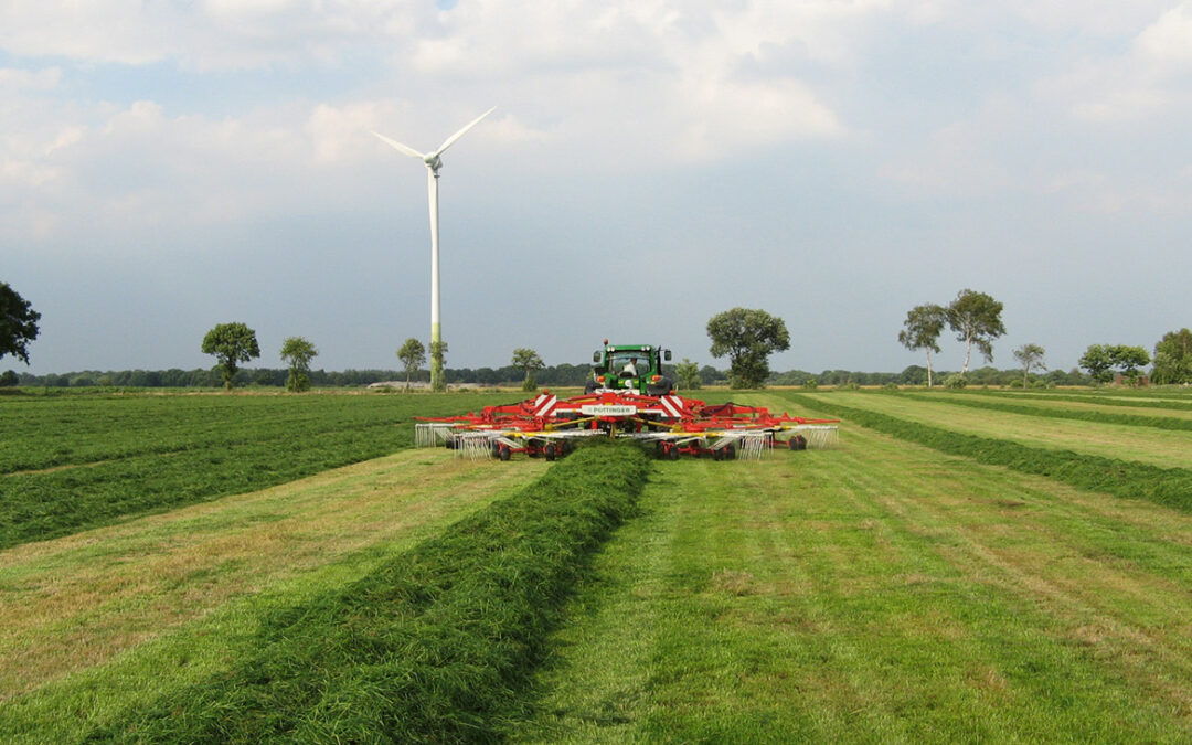 Der Weg zu einer Top-Silage