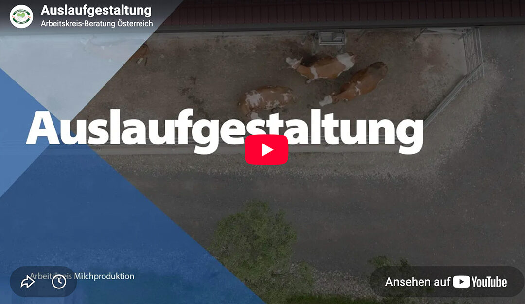 Tipps zur Auslaufgestaltung