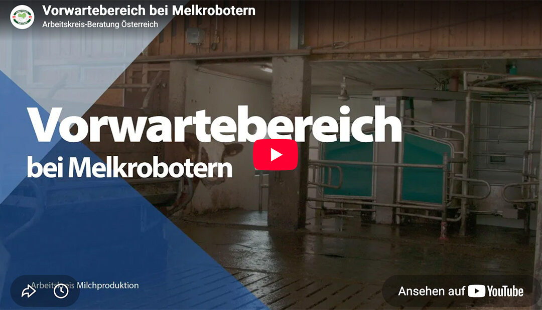 Vorwartebereich bei Melkrobotern