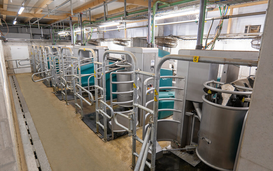 GEA erweitert Batch-Milking-Portfolio