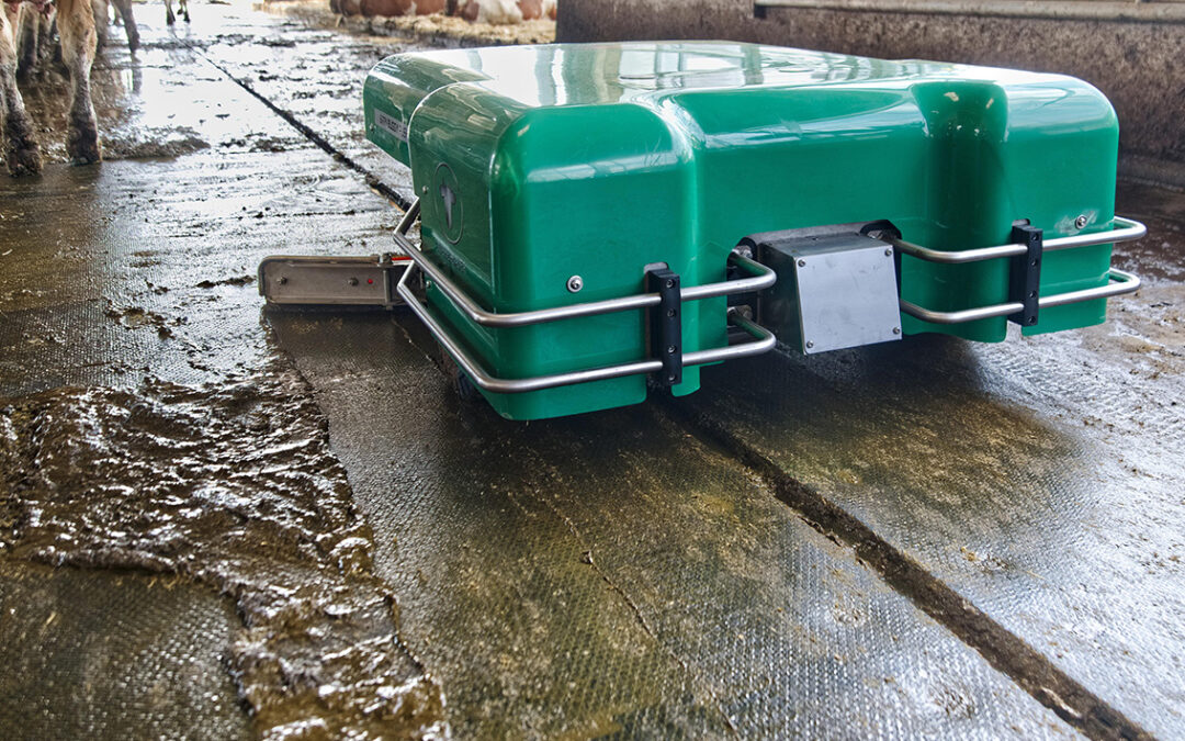 Zweimal Silber für Wasserbauer