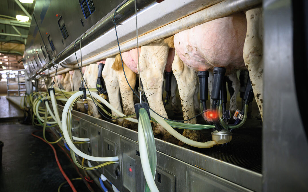CowManager erweitert Herdenmanagement