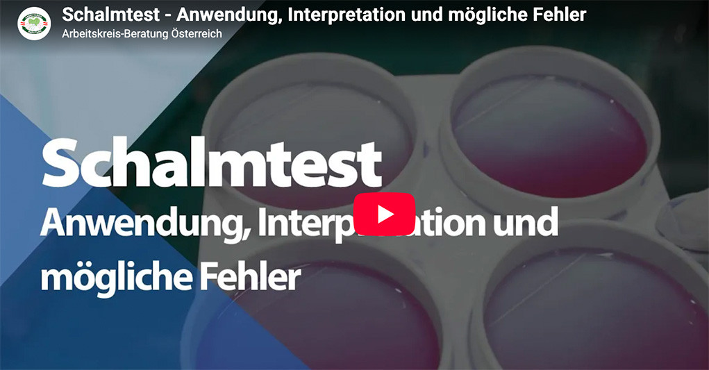 Schalmtest – Anwendung, Interpretation und mögliche Fehler