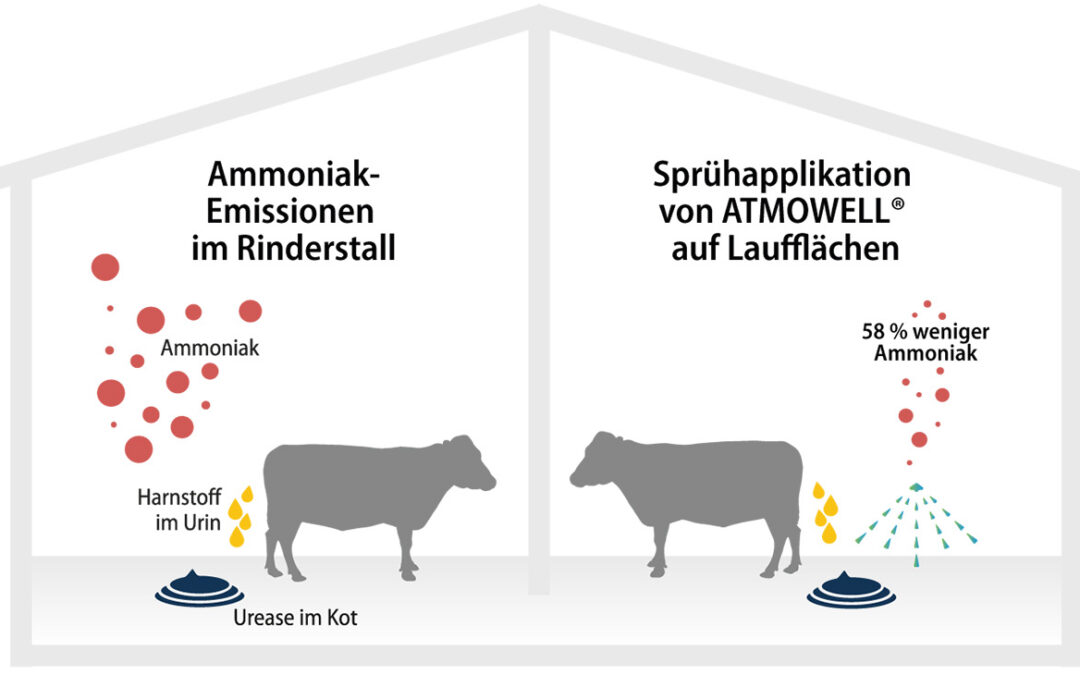 Emissionsminderung vom Stall bis aufs Feld